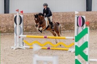 sportovní pony A - nová cena, - 3