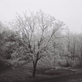 Pentacon six - 3