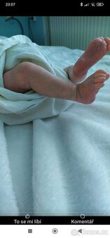 Reborn - 3