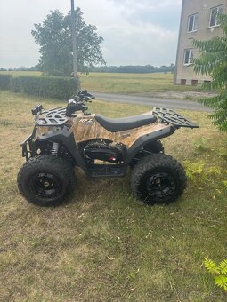 Leramotors RFZ250 - 3