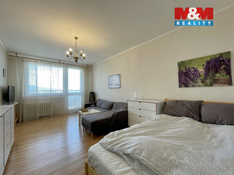 Pronájem bytu 1+1 v Teplicích, ul. Alejní - 3