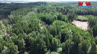 Prodej lesa, 5323 m², Opařany - 3