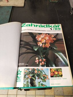 Zahrádkář celý ročník 1989 - 3