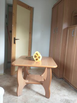 Obývací stěna - 3