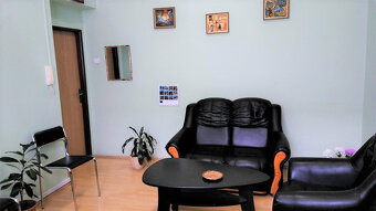 koženkové kovové - 3