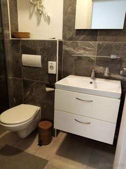 Pronájem bytu 1+kk 30 m2 - 3