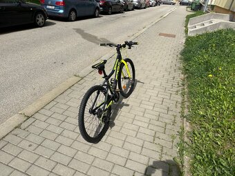 Kolo Core Nipper 24 - 3