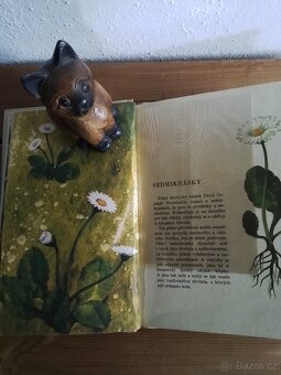 Až půjdeš po lukách,Mária Haštová r. 1967 - 3