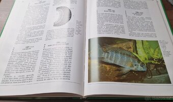 333 zajímavostí pro akvaristy (K.Krček) - 3