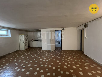 Pronájem nebytových prostor, 133661 - 3