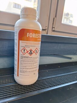 Forester - 3