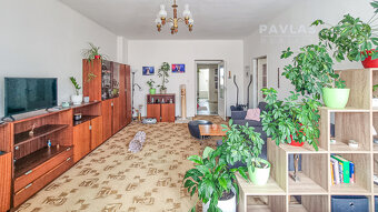 Pronájem bytu 2+1, 80m2 v centru Českých Budějovic, ul. Dr. - 3