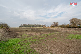 Prodej pole, 8477 m², Věrovany - 3