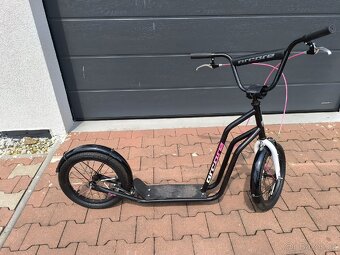 Koloběžka pro slečny Arcore Gravity 16/16 - 3