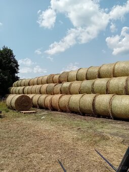 Letošní seno 2025 - 3