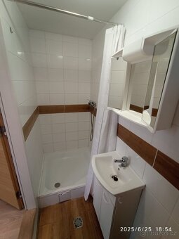 BEZ PROVIZE RK. Pronajmu atelier 1kk se zahrádkou Vršovice - 3