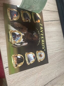 Volná vstupenka na ukázku dravců zayferus - 3