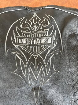 Pánská kožená bunda Harley-Davidson, vel. L – 8 000 Kč - 3