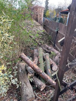 palivové dřevo - 3