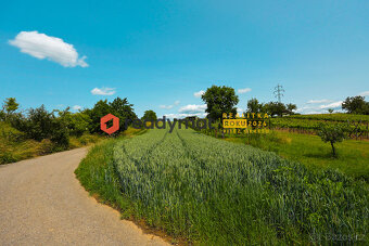 Prodej pozemku, vinice, 922 m2, Vlkoš u Kyjova - 3