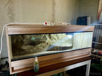 Terarium pro agamu vousatou - 3