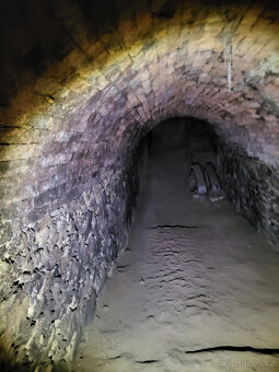 Nabízíme k prodeji vinný sklep s lisovnou v obci Vrbovec. - 3