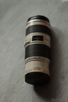 Canon 70-200mm f/4 IS USM - 3