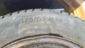 Barum polaris 5 175/65 R14 - 3
