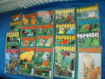 Papoušci, andulky, psi, ryby, akvárium - 3