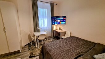 Pěkný byt 1+kk, Praha Nové Město - 3