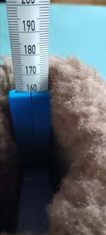 Zimní froddo Barefoot zeru TeX vel.26 - 3