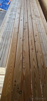 Rhombus sibiřský modřín - 3