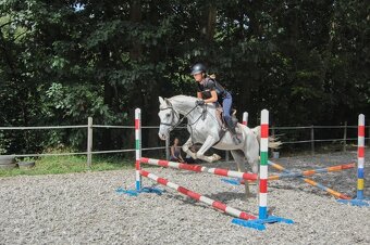 Školní klisna - 3