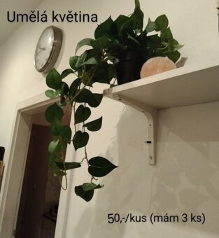 Různé věci do domácnosti 50,--100,- - 3