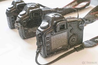 CANON 5D - 3