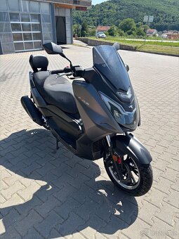 Maximus Caesar 125 motor Honda 8,5 koní - 3