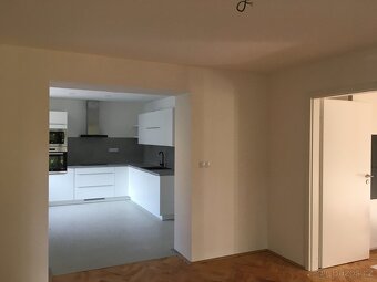 Pronájem krásného bytu 2+1 (55 m²) na Dukle – u parku a MHD - 3