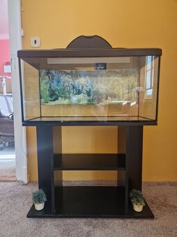 Akvarium + stolek + lampa - 3