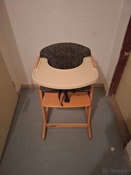 Zopa rostouci  zidle drevo - 3