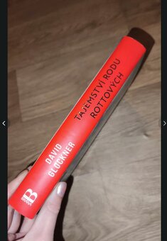 Tajemství rodu Rottových - David Glockner - 3