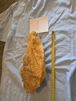 Zkamenělé dřevo do akvária - 3