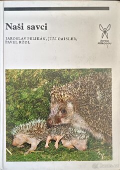 Knihy pro mládež a děti - 3