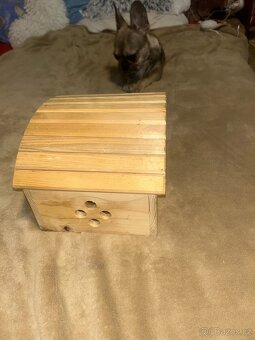 Domeček pro hlodavce 🐹 - 3
