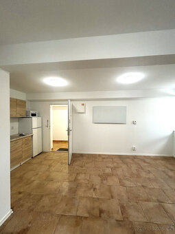 Ateliér/nebyt Žižkov - Jarov - 3