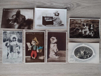 Predám pohľadnice - zvieratá, bábiky, doprava, ... - 3