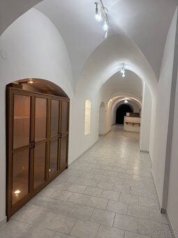 Pronájem nebytových prostor - 3