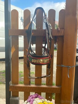 Prodám formanskou ohlávku s udidlem - 3