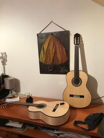 El. a akustické kytary a španělky pro žáky i mistry - 3