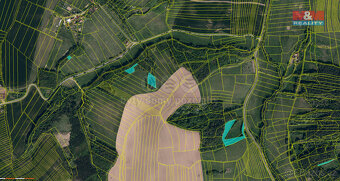 Prodej lesa, 13046 m², Kaňovice - 3