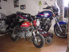 Honda Monkey 125 - 3